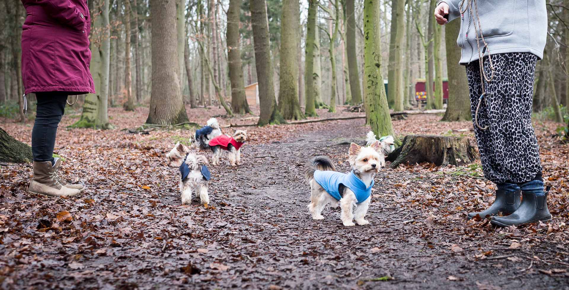 Forest-Fashion-Day